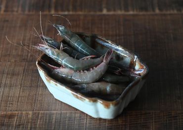 台灣劍蝦