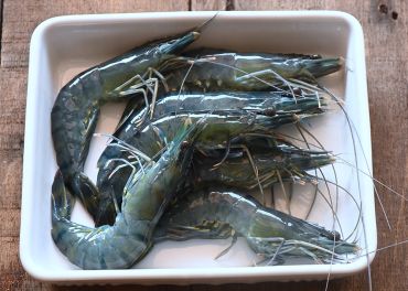 台灣海草蝦 四入組