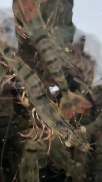 明天立刻啟動工作模式！