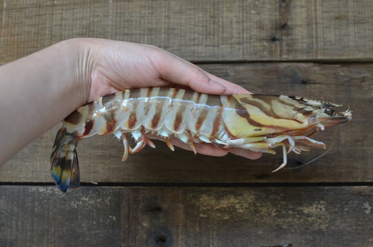 天然就是沒辦法逼