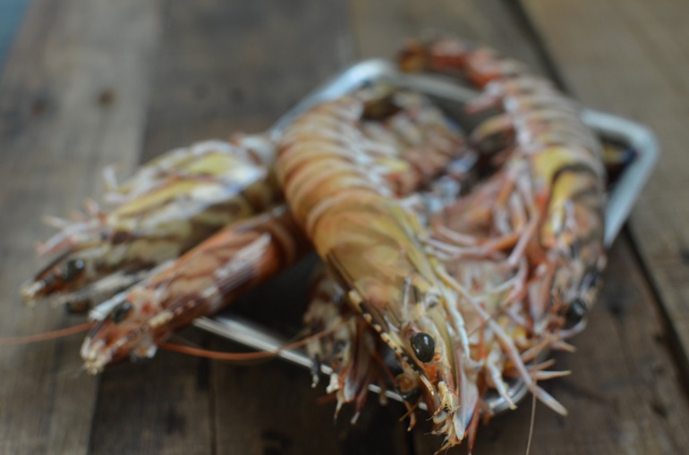 現在猩弟的工作，真的好廣。