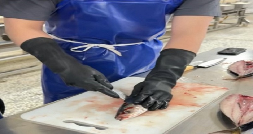 上週猩弟人雖然在台灣，但整週幾乎都在說日文。