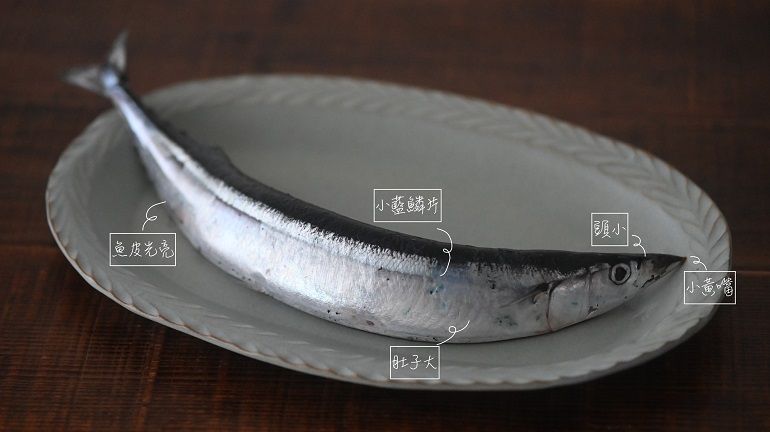 肥肥又好吃的秋刀魚要怎麼選？