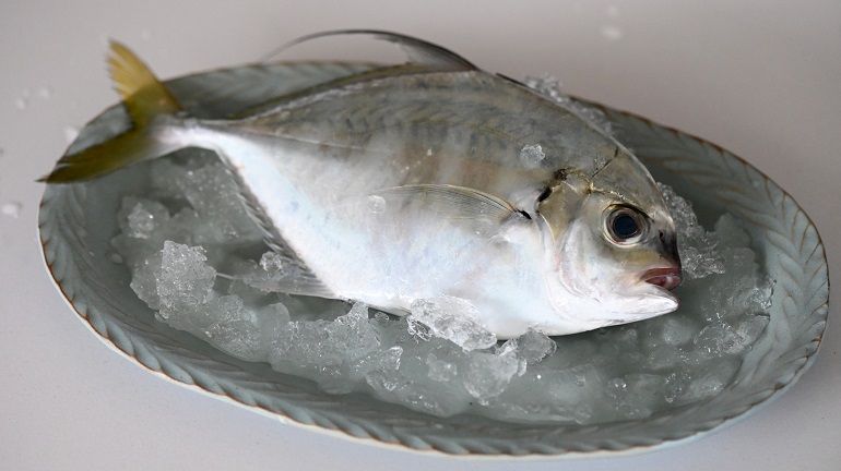 這條魚有三個名字。