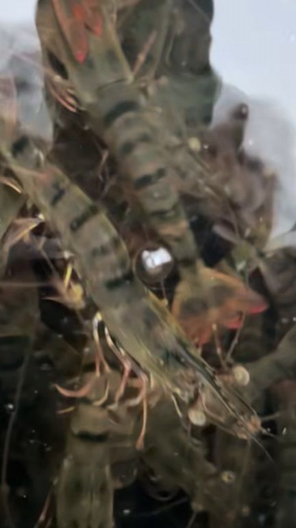 明天立刻啟動工作模式！