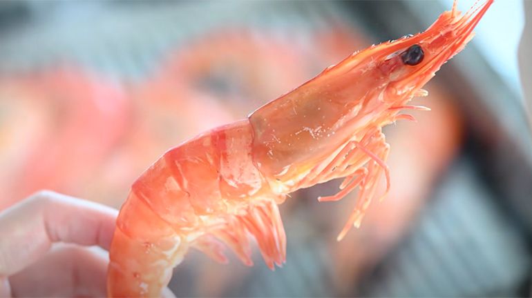 有時候料理海鮮，就是這麼直接！