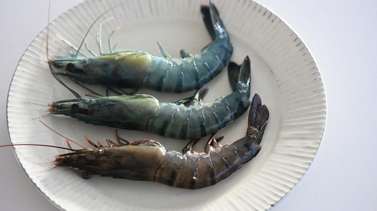 同一包的草蝦，怎麼有的紅、有的藍？