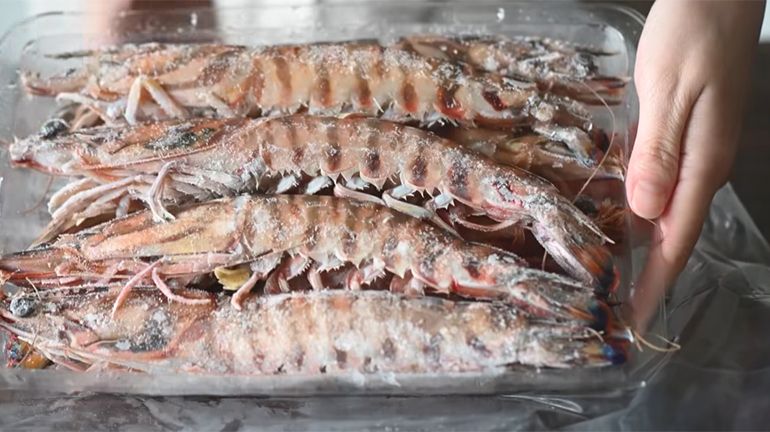 大明蝦到底長什麼樣子！！！