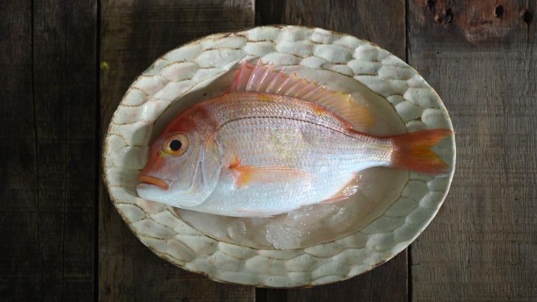 吃魚也要知道魚長什麼樣子！