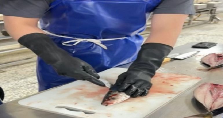 上週猩弟人雖然在台灣，但整週幾乎都在說日文。