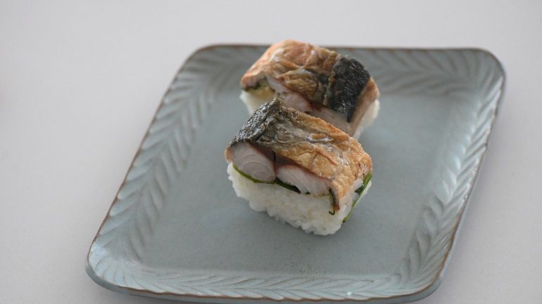 不考上日本魚檢定一級就不辭職＃02｜鯖魚