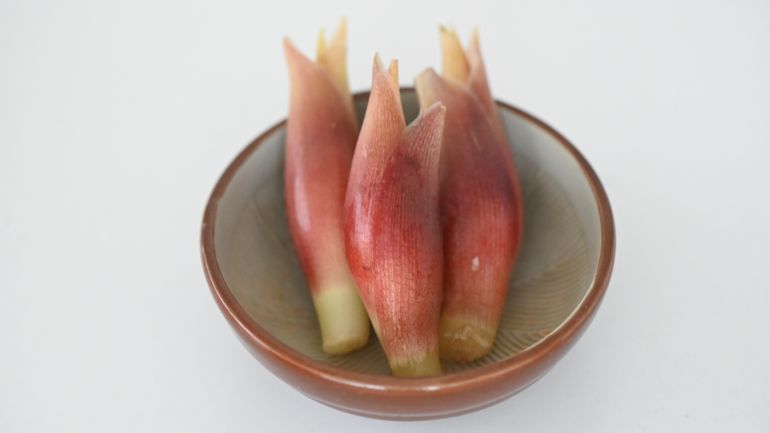 不考上日本魚檢定一級就不辭職＃08_刺身のつま