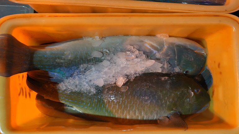 真的有嚇到，難道大家都約好這四天連假一起衝宜蘭嗎？