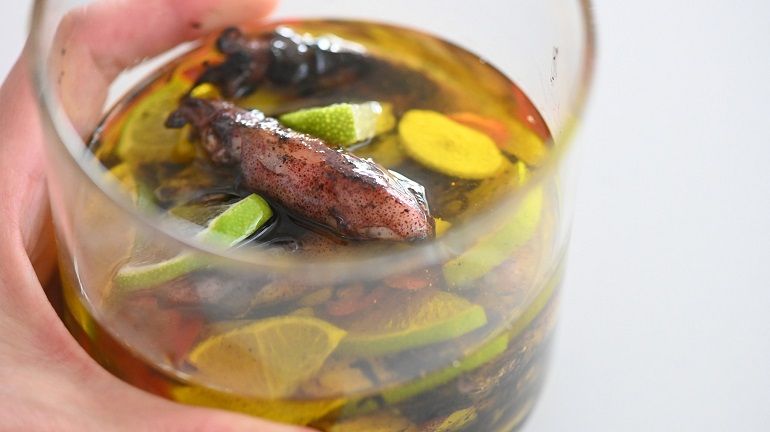 ＃不考試日本魚檢定一級就不辭職＃14_螢光烏賊