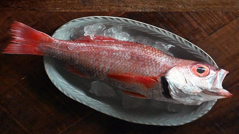 前幾天好天氣，剛剛一口氣補了好多好料在新合發官網！