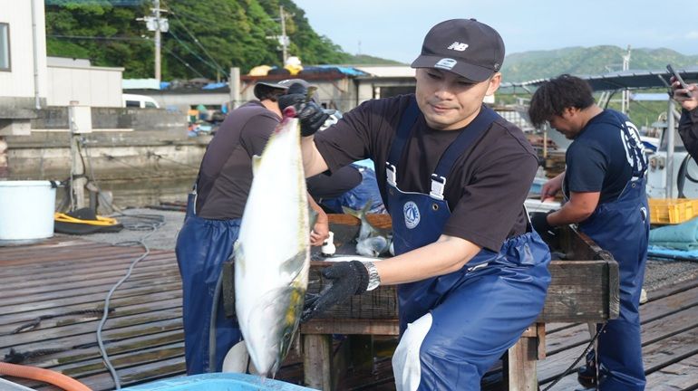 「＃若武者 鰤魚」到底厲害在哪裡？