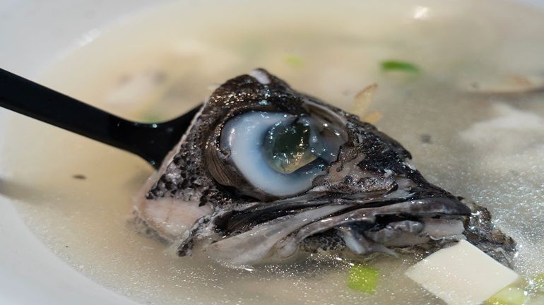 魚的眼睛真的每種都長得不太一樣！